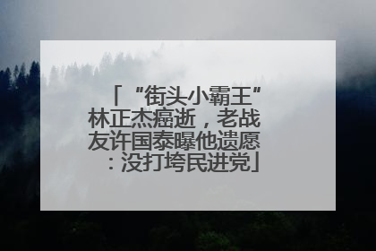 “街头小霸王”林正杰癌逝，老战友许国泰曝他遗愿：没打垮民进党